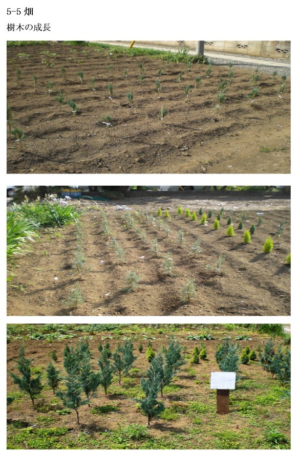 新規 Microsoft Word 文書(786)5