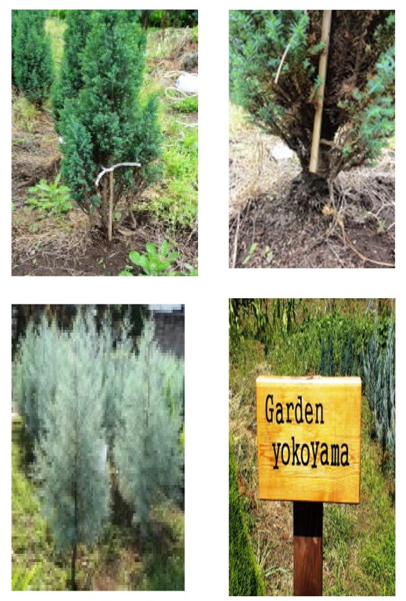 新規 Microsoft Word 文書(787)5