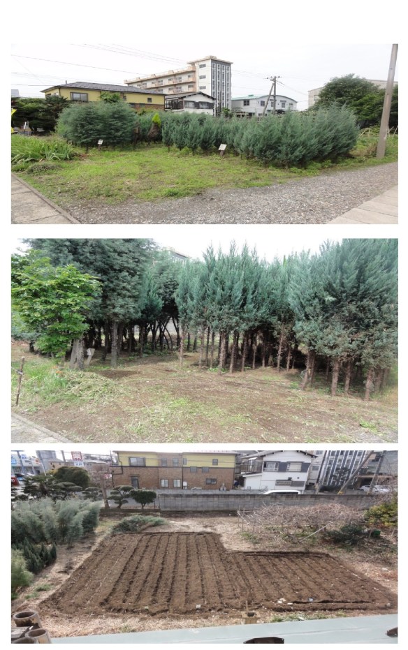 新規 Microsoft Word 文書(788)4