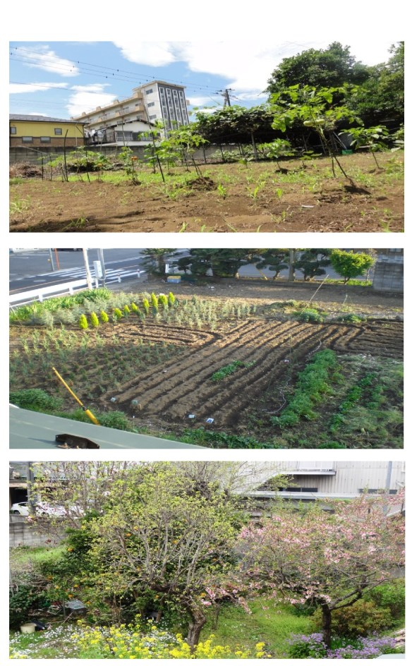 新規 Microsoft Word 文書(789)3