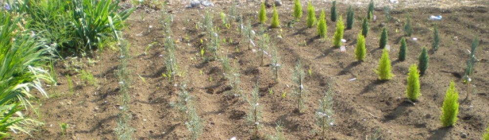 日本文化原論 永続思想 